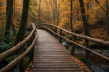 Obraz premium Elegant Wooden Footbridge Over a Small Stream in an Autumn Forest, Magical Colors of Nature