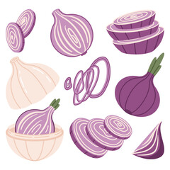 Set of red onion elements. Ring, piece, half and slice of raw bulb. Vector flat illustration.