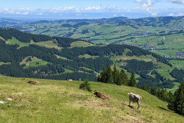 View from Ebenalp in the Swiss alps