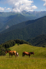 Magnificent views of the mountain village and nature of Azerbaijan