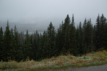 Mountain full of pine trees on a snowing day.