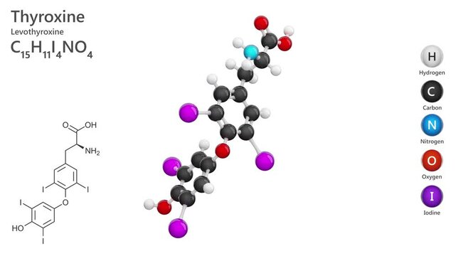 Model of L-Thyroxine (C15H11I4NO4) or levothyroxine, is a synthetic form of the thyroid hormone thyroxine. It plays a crucial role in regulating metabolism and energy levels. White back. 3D render