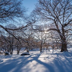 Fototapeta premium 冬の雪景色の風景