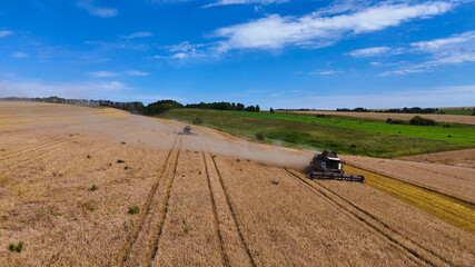Obraz premium combines in the wheat field