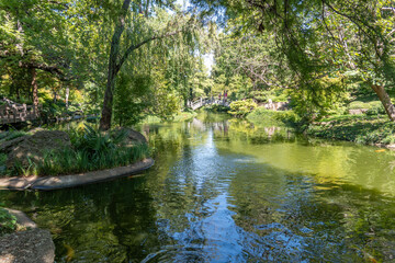 dallas bontical garden 