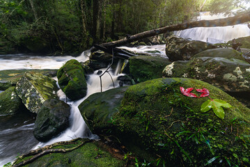 Beautiful scenic view of waterfall in forest, tropical forest in rainy season, Phu Kradueng National Park, Thailand.