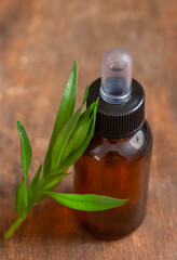 organic cosmetics and cooking with herbal extracts tarragon oil on wooden background