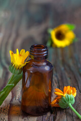 Calendula flowers and amber glass dropping bottle with essential oil. Marigold medicinal plant, herbal medicine, naturopathy and phytotherapy. Ingredient for natural beauty products and cosmetics.