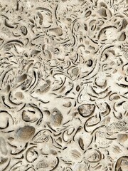 Nature shell stone texture with visible inclusions of shells. Texture of natural shell rock as a background. Close-up. Coquina wall texture. wall in the holes.