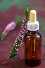 Bottle of heather essential oil or infusion, bunch of Calluna vulgaris flowers on background. Alternative herbal medicine.
