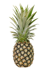 Fototapeta premium Pineapple isolated on white background