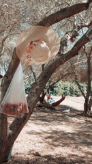 Straw Hat Hanging Tree Closeup Natural Outdoor Warm Tones. Relax Conception