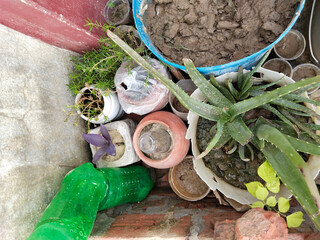 Outdoor flower pots for small garden, patio or terrace