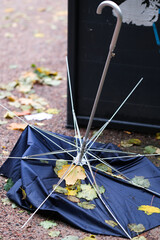 Broken umbrella after a autumn storm © Laks