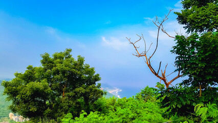 Sea view from mountain top surrounded by trees and blue sky landscape 