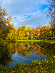 The autumn landscape with trees and the pond