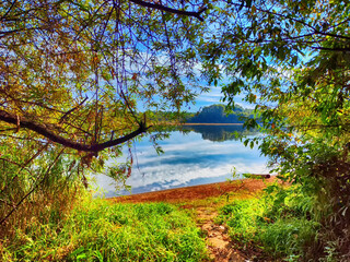 A beautiful landscape with a view of the water of a river or lake through the branches of trees in early spring or summer