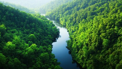A scenic view of a river surrounded by dense forest, promoting water conservation and the beauty of protected natural landscapes, with space for environmental messages in the sky