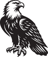 Obraz premium Bald eagle black drawing silhouette design