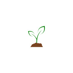 Sprout icon isolated on white background