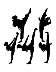 Female kicking karate martial arts sport action silhouette