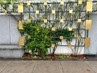 Modern garden design and landscaping: Climbing roses along a  trellis which is made of galvanized poles and golden shiny rectangular and square tiles or boards - decorative housefront or facade design