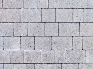 Gray concrete pavers arranged in a neat pattern on a walkway in early afternoon light