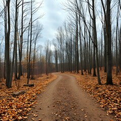 Naklejka premium Autumnal Forest Path, Bare Trees, Grey Sky, Fallen Leaves