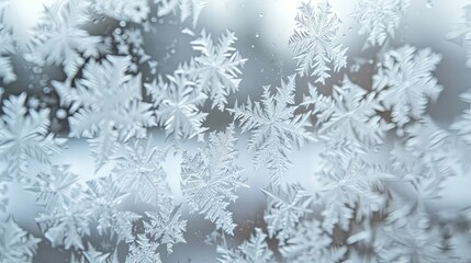 Intricate Frost Patterns on a Window Pane
