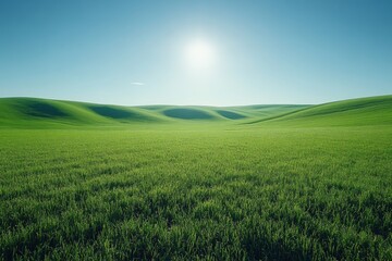 Fototapeta premium A huge field of green grass with hills in the background. Clear blue sky with morning sun. Calming landscape wallpaper.