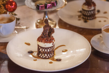 Tiramisu cake. Favorite Italian dessert