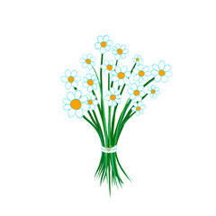 Bunch of daisies / bouquet of flowers