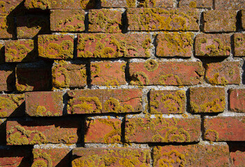 old brick wall
