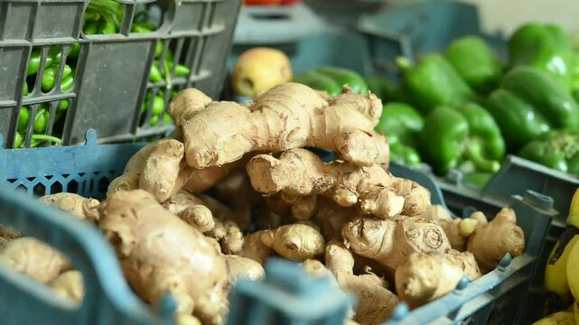 Fresh ginger root on showcase of greengrocery shop for sale to customers