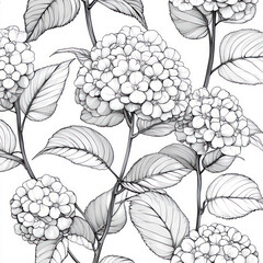 A Viburnum, line pattern, black and white artwork style. Coloring book, zoom out, isolated on solid white background