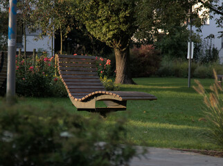 Wooden Lounge Chair in a Peaceful Park with Rose Garden