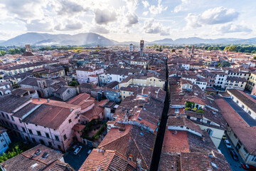 Hausdächer der historischen Stadt Lucca in Italien mit Dachterrassen und Gärten