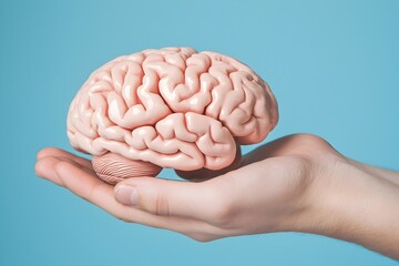 Holding the Brain in Hands Against Soft Blue Background