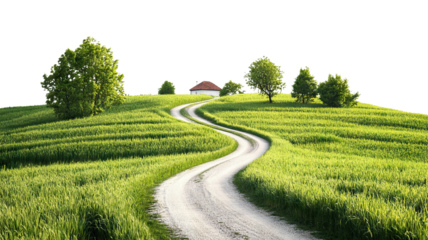 Winding rural road through green field with trees, cut out