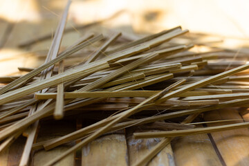 Dried Bamboo Strips for Crafting