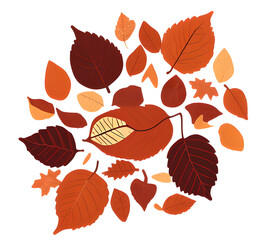 Obraz premium Colorful autumn maple leaves scattered on the ground clipart illustration of traditional autumn leaves for postcards.generative ai