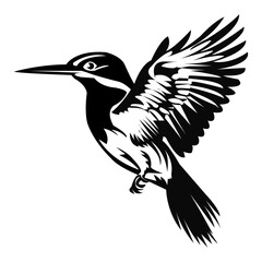 Kingfisher vector art design