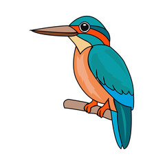 Kingfisher vector art design
