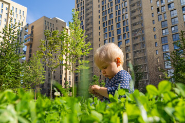 A little child is curiously examining the grass and plants in a vibrant urban park, with modern apartments rising in the background