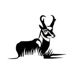 Pronghorn vector art design 