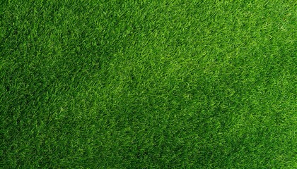 Fototapeta premium Green grass texture background, Top view of grass garden ideal concept used for making green flooring, lawn for training football pitch, Grass Golf Courses green lawn pattern texture 