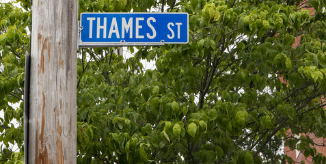 Thames Street Sign Attached to a Weathered Pole Amidst Vibrant Green Foliage in a Residential Area During Springtime