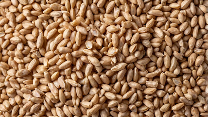 Fototapeta premium Light-colored seeds arranged in a seemingly random pattern