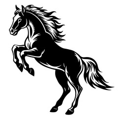 black horse isolated on white