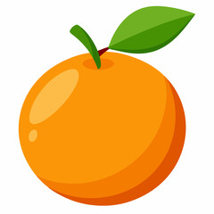 orange fruit vector illustration